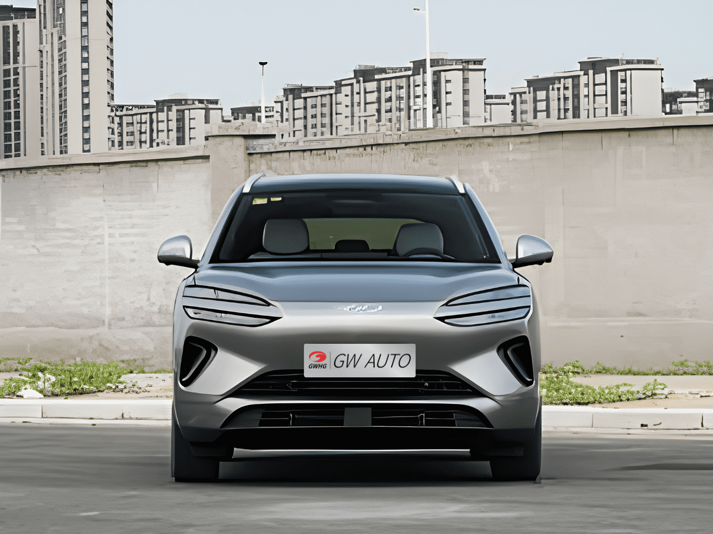 BYD Sealion 06 DMI