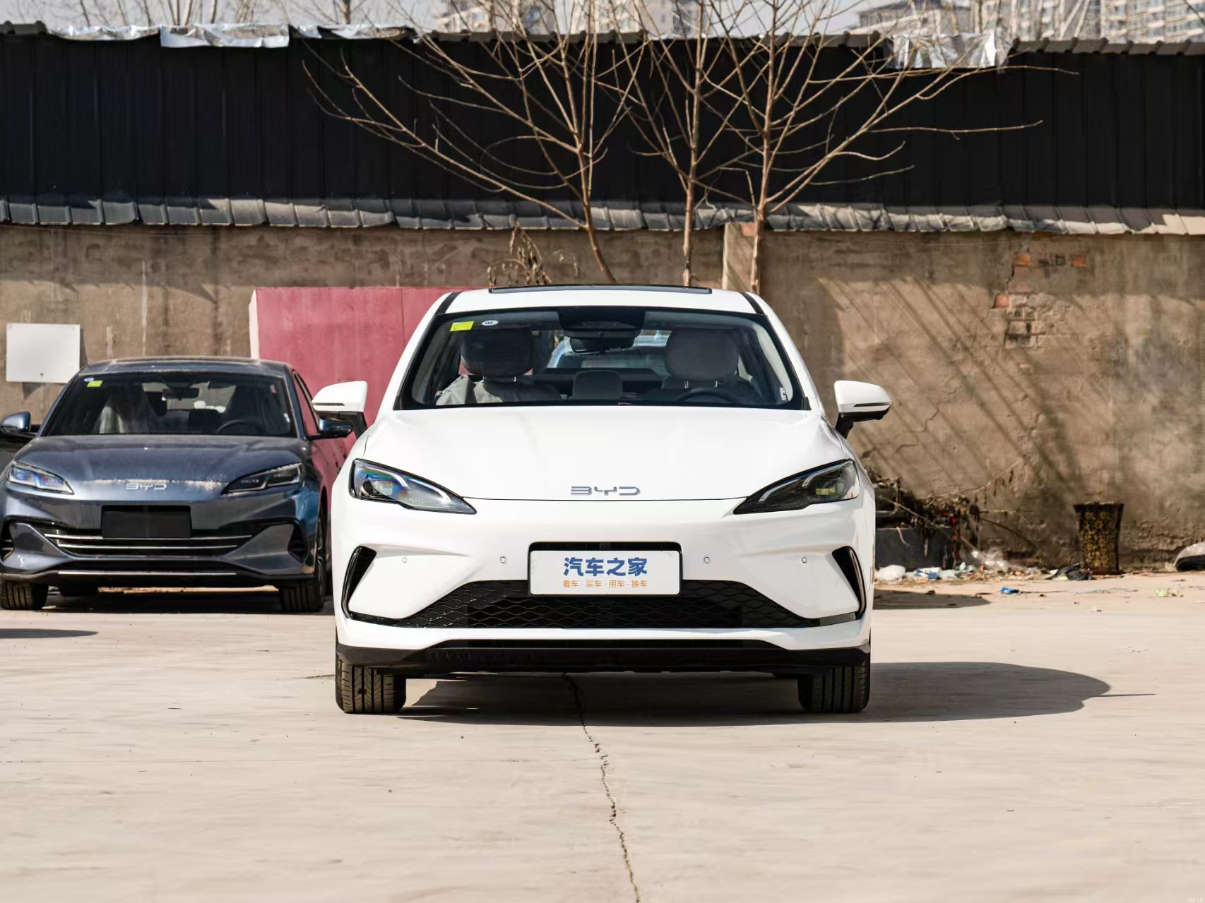 BYD Sealion 5