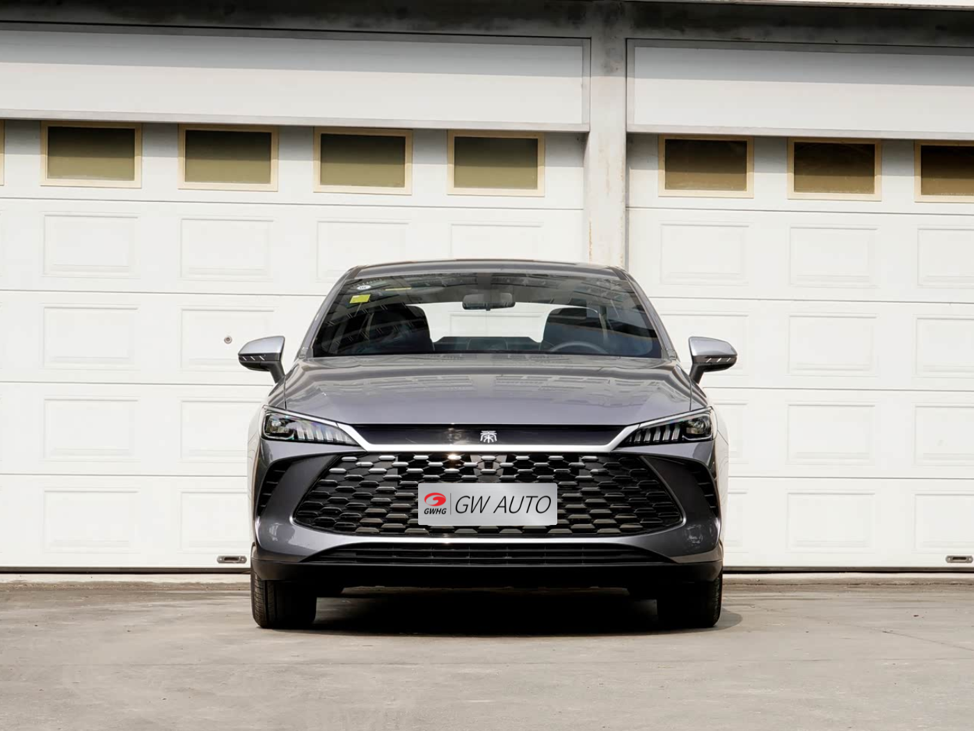 BYD Qin Plus DMI