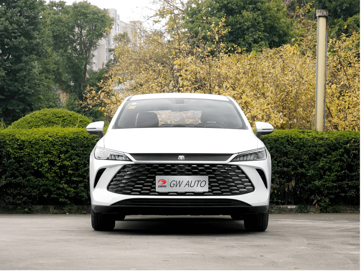 BYD Qin Plus DMI