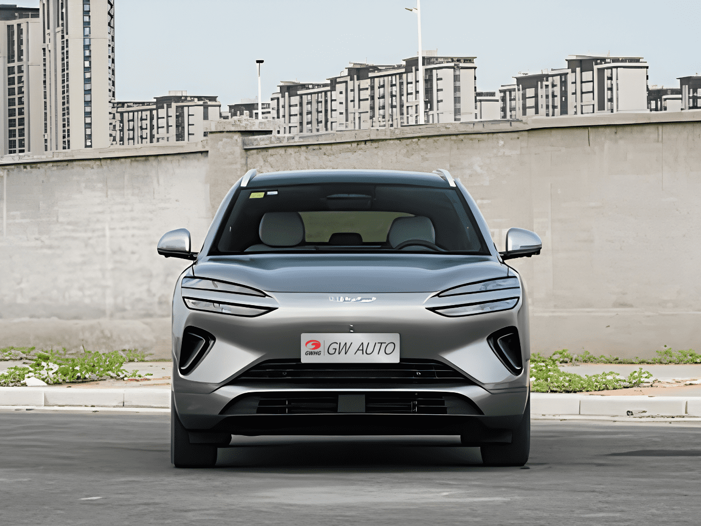 BYD Sealion 06 DMI